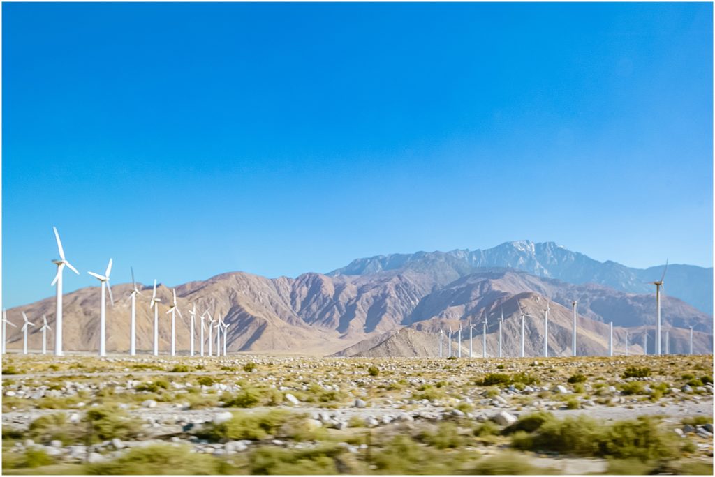 Palm Desert, Joshua Tree, windmills, 