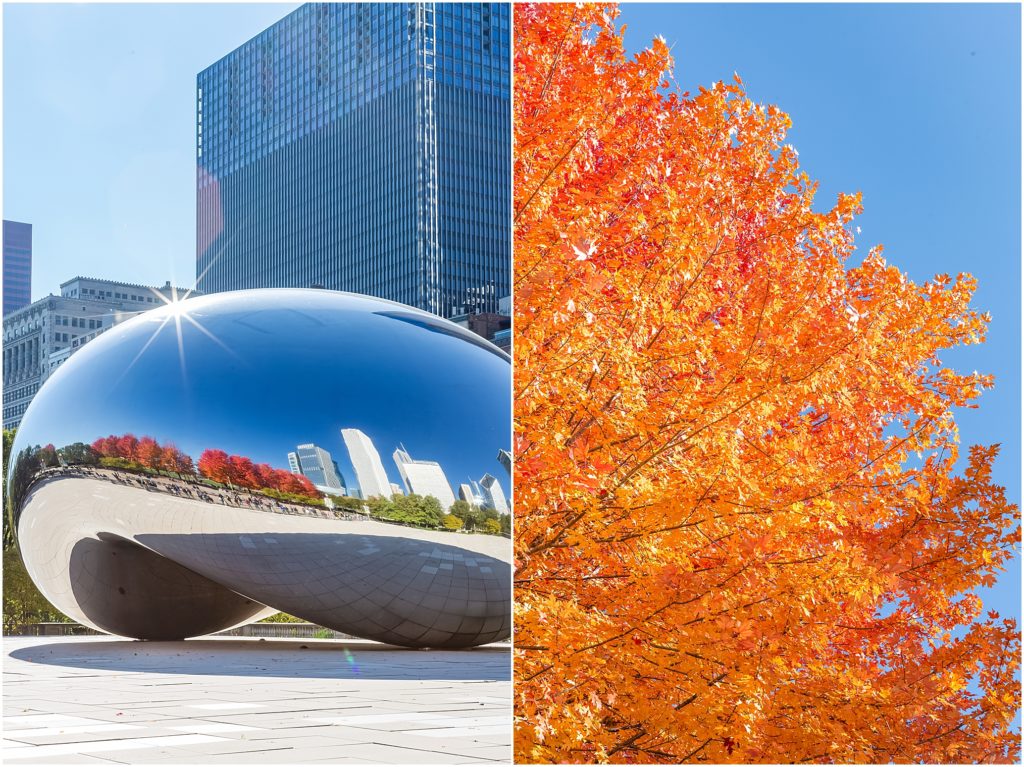 A collection of photos of Chicago, Illinois, the Windy City, street art, fall, colorful leaves, Lake Michigan, the bean, Willis Tower, River North