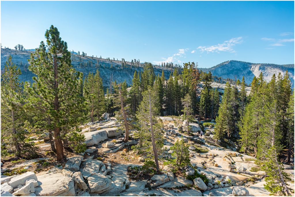 Yosemite National Park, Yosemite Valley, Sierra Mountains,