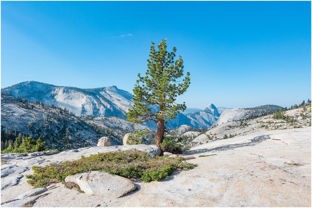 Yosemite National Park, Yosemite Valley, Sierra Mountains, half dome
