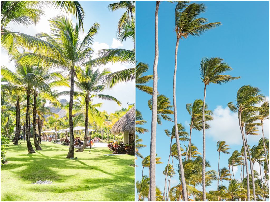 Punta Cana, Dominican Republic, 2022 - Dreams Royal Beach Punta Cana