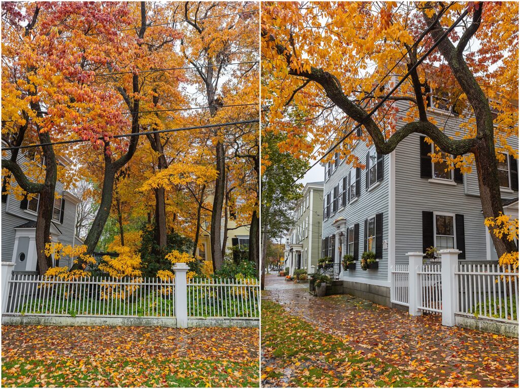 Salem, Massachusetts for Halloween. Essex Street Salem, MA