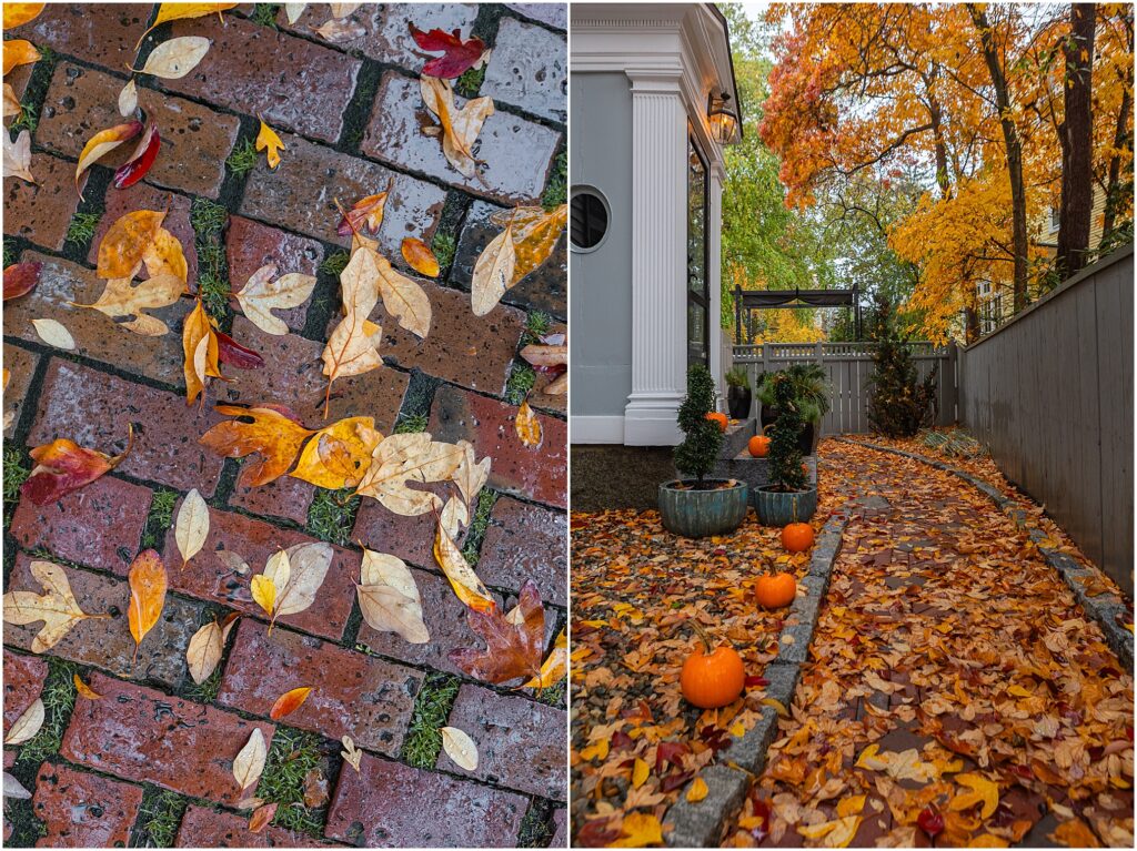 Salem, Massachusetts for Halloween. Essex Street Salem, MA