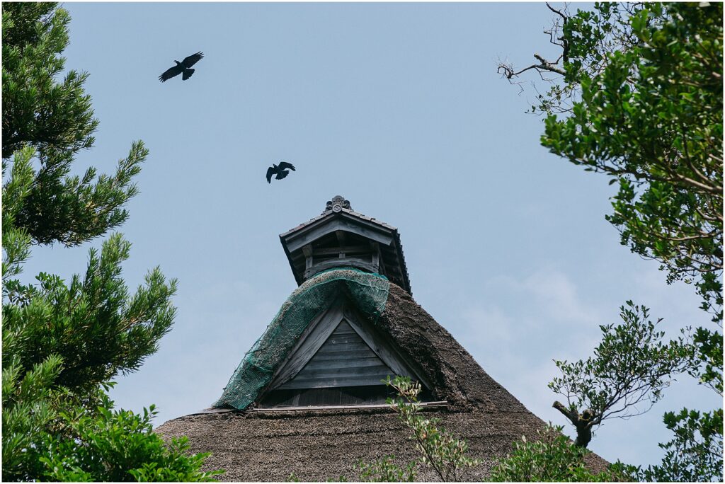 The Support Sake Tour! American rock band, The Falling Doves, traveled around Japan to perform their music and help bring some awareness to the diminishing Japanese sake industry by bridging music and culture. - Noto Town.